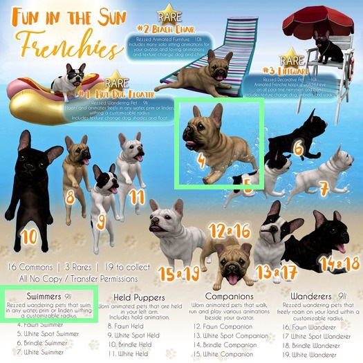 JIAN Fun Frenchies 4. Fawn Swimmer