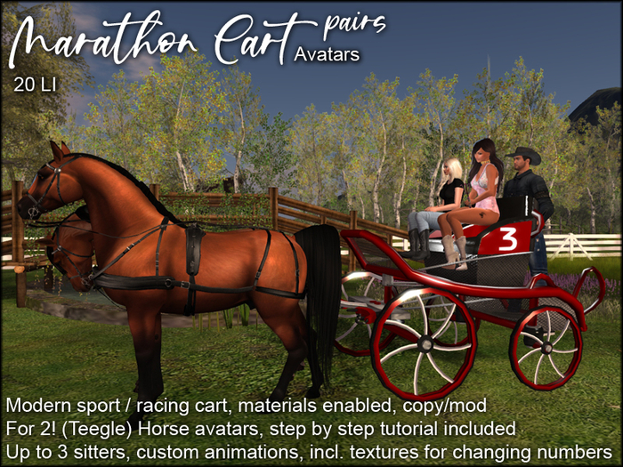 ME_Marathon pair TeAva