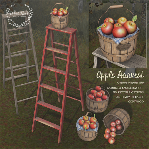 {wn} Apple Harvest Decor (boxed)