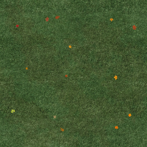  Grass Texture 