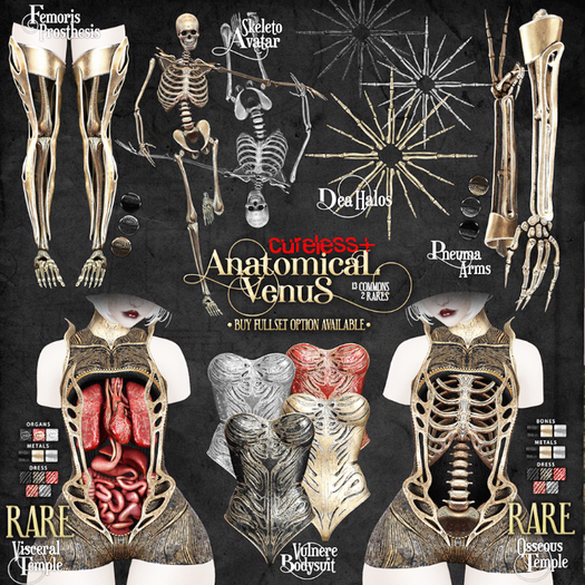CURELESS[+] Anatomical Venus / M / Osseous Temple / RARE