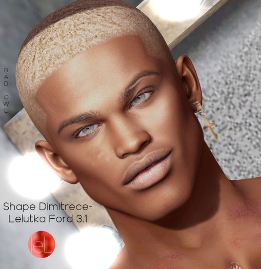 SHAPE DIMITRECE-LELUTKA FORD 3.1