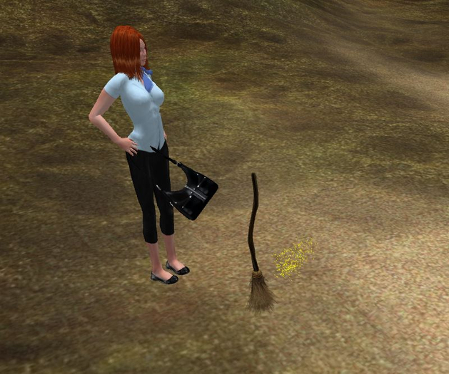 [WaS] Angry Magic Mop Broom