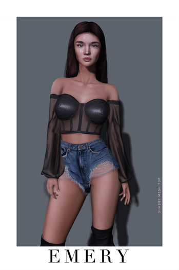 Emery Shabby Top DEMO