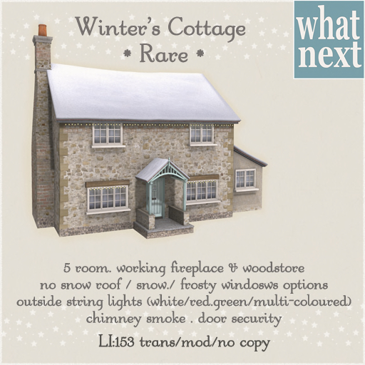 {what next} Winter's Cottage (boxed ) RARE