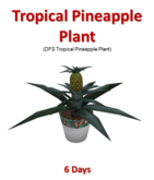 DFS Tropical Pineapple Plant (Texture Only)