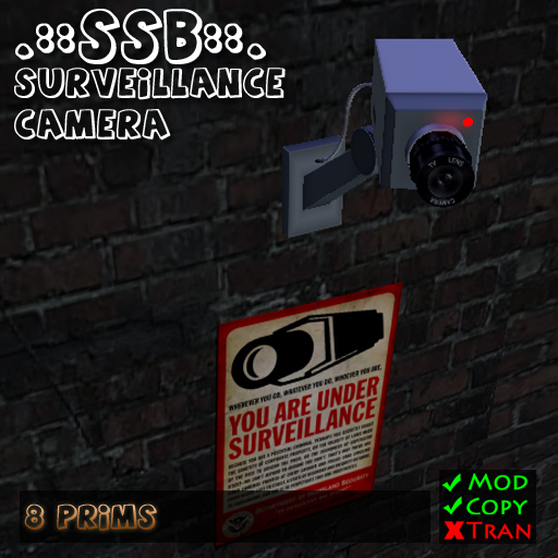 SSB Surveillance Camera 