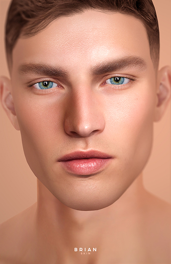 STRAY DOG - BRIAN  - LELUTKA -  TONE 01