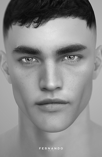 *DEMO* Stray Dog - FERNANDO