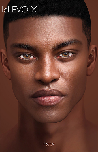 STRAY DOG - FORD  - LELUTKA EVOX -  TONE 08