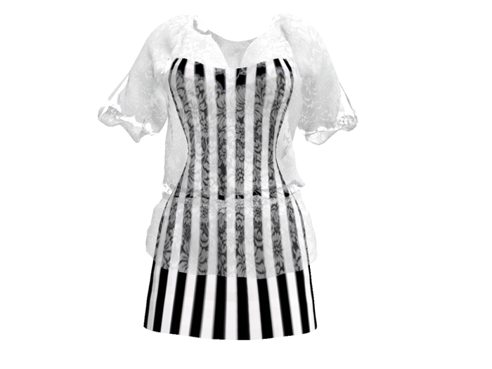 Translucent Blouse & Dress Box No.3*