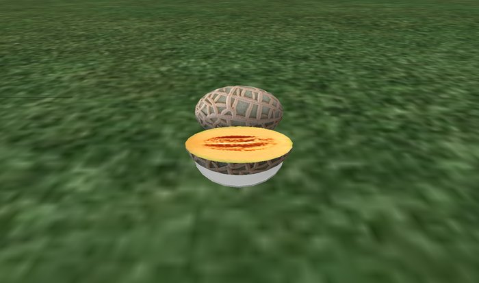 Persian Melon Dispenser Box