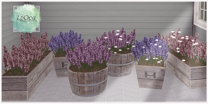 LpOca Lavender Set