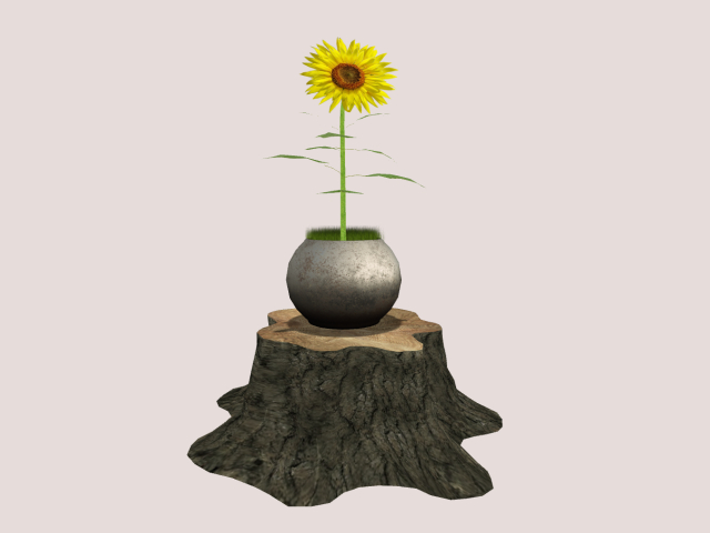 Stump  And SunFlower In Pot