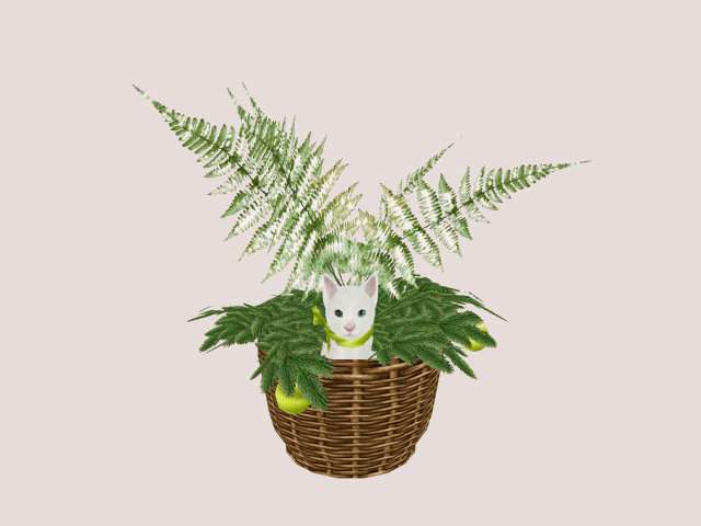 Xmas Plant with Cat