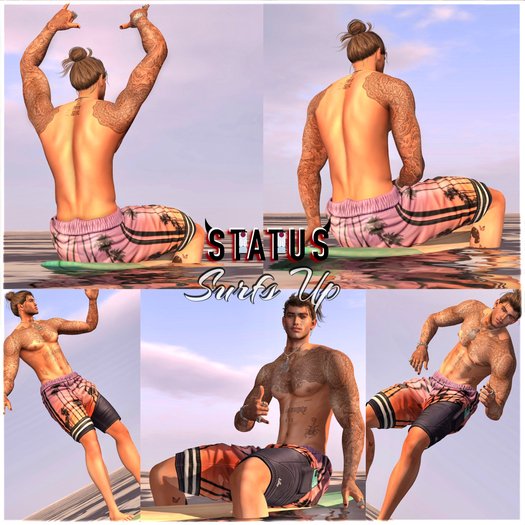 STATUS ~ Surfs Up Posepack