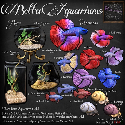 9. *HEXtraordinary* Male Betta - Sea