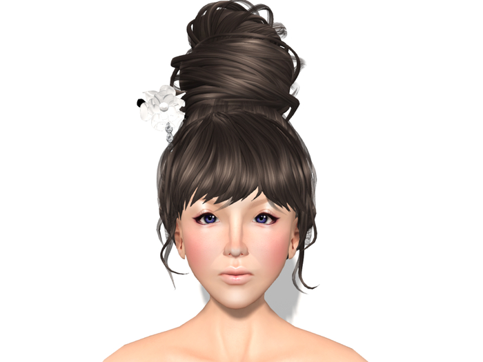 Oshare na Hair Style 4-2 Box 