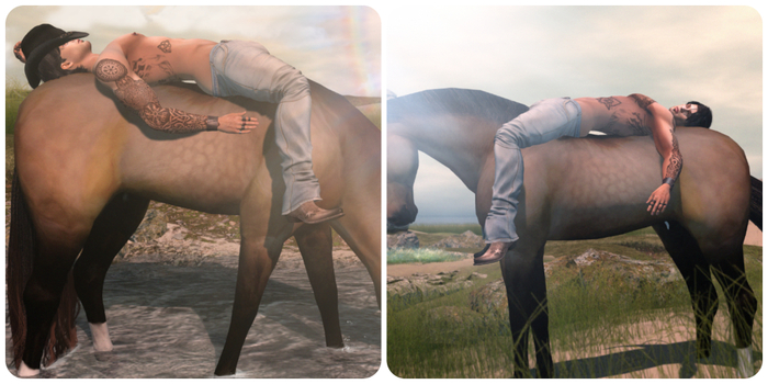 {Caress} Bareback Recline Pose Set
