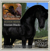 Texture Barn: Limited Edition Friesian Blacks for Teegle Pets & Teegle Horses / Avatars