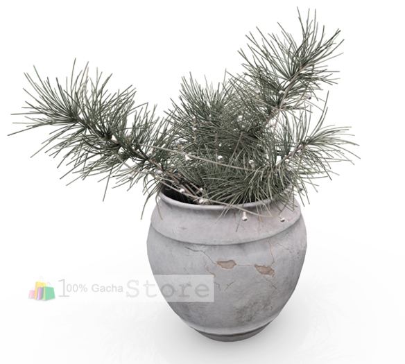 26. Nutmeg. Musical Escape Ashen Vase