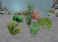 Anni Timeless: Anni's Saltwaterplants pack of 6