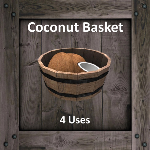 DFS Coconut Basket (Texture)