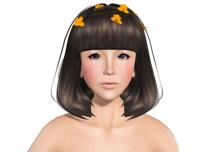 Oshare na Hair Style 2-2 Box
