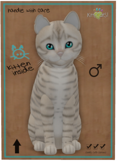 KittyCatS Box - Toyger - Snow