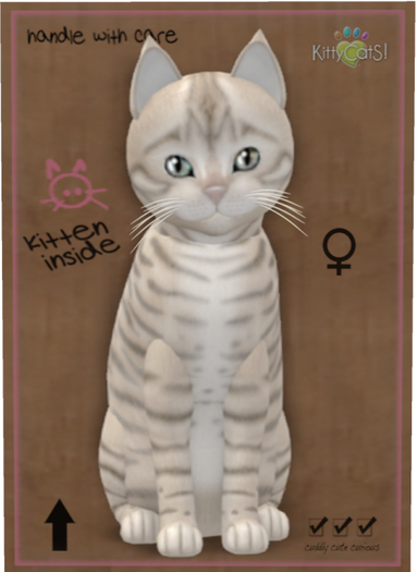 KittyCatS Box - Toyger - Snow