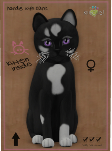 KittyCatS Box - Genesis - Domino V