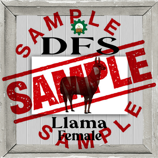 [TWB] DFS Llama - Female