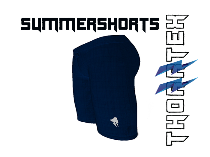 Thorrtex Shorts Cuttonplaid Blue