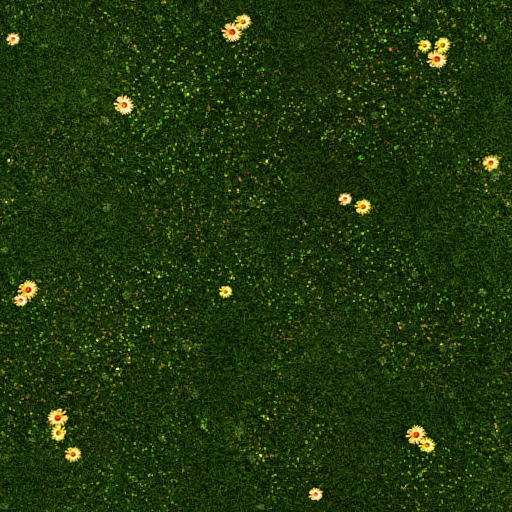  Grass Texture 