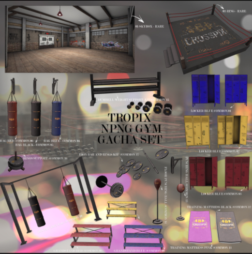 TROPIX // NPNG GYM - RING #RARE 2 [box]