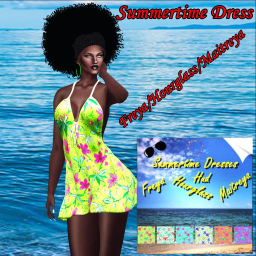 Summertime Dress with Hud