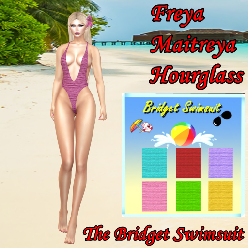 BRIDGET SWIMSUIT WITH HUD
