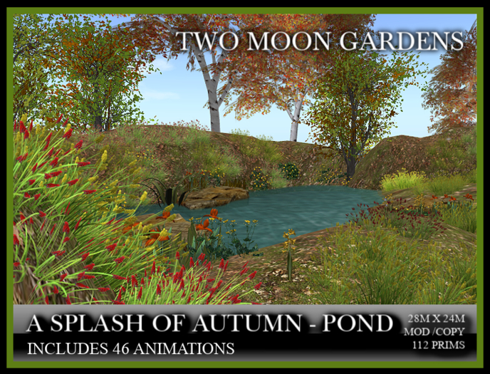 Autumn Pond|SplashofAu