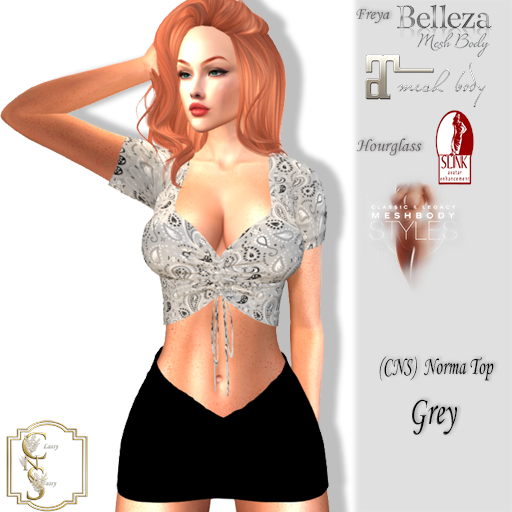 (CNS) Norma Top Grey
