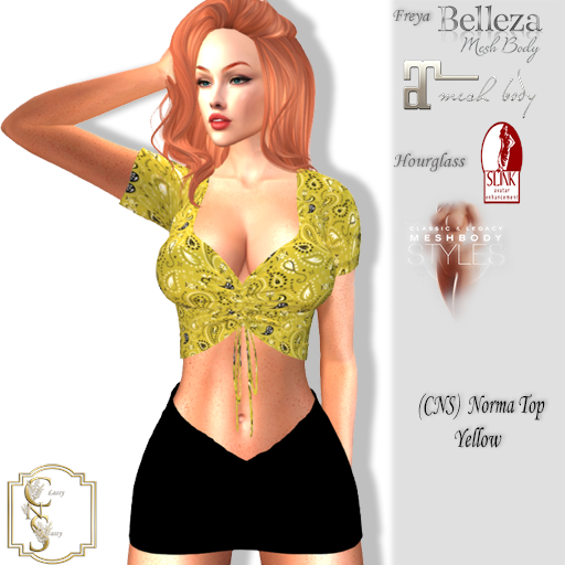 (CNS) Norma Top Yellow