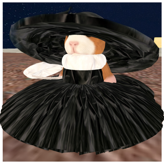 *VLC* Biggie Dress-up