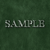 Zoy Texture [ Leather Wrinkle 03 ] Seamless - Moss