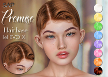 Promise Hairbase EVOX Colors
