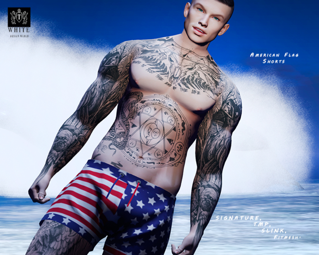 ::TWR:: SHORTS   summer  (2 textures)