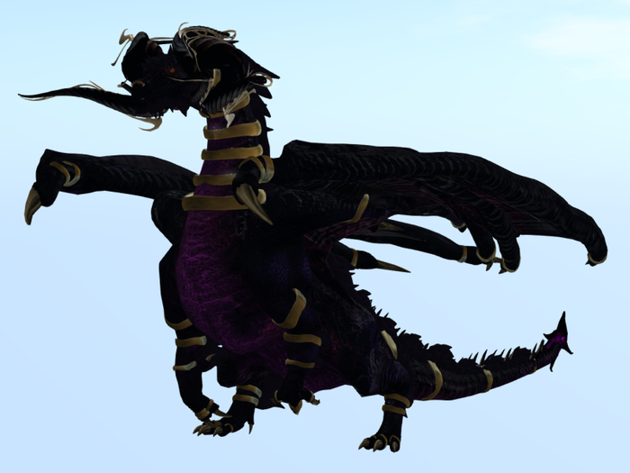 DK dragon gold rings