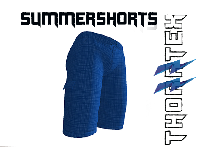 Thorrtex Shorts Blue Raster Plaid