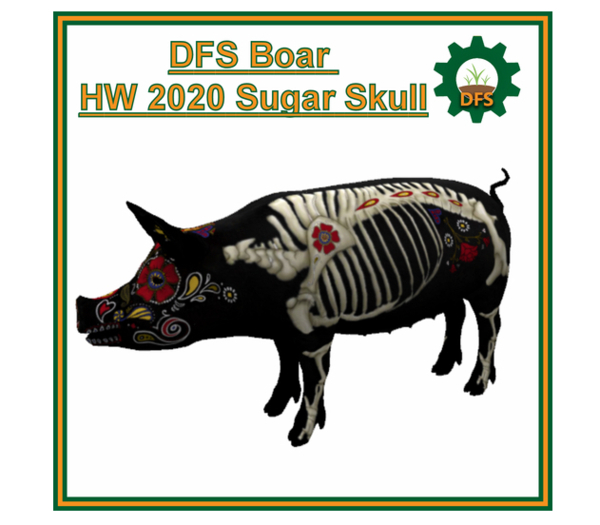 DFS Boar - HW 2020 Sugar Skull