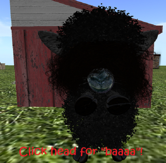 Dinkie Sheep