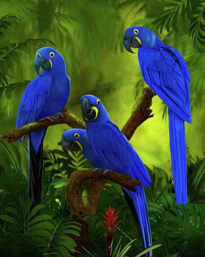 Blue Parrot Art