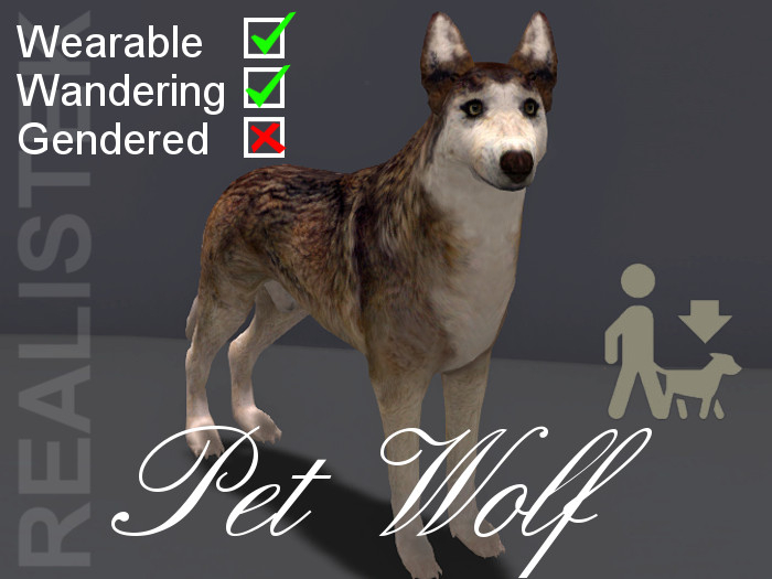 Pet Wolf Grey WW-